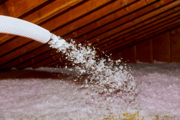 Best Residential Insulation in Hayfield, MN