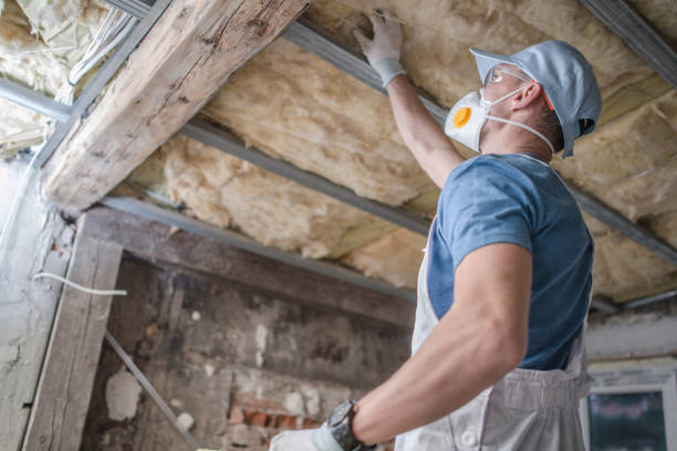 Best Commercial Insulation in Hayfield, MN