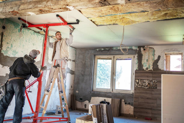 Best Insulation Maintenance and Repair in Hayfield, MN