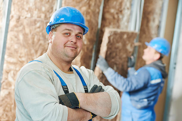 Best Blown-in Insulation in Hayfield, MN
