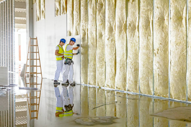 Best Eco-Friendly Insulation in Hayfield, MN